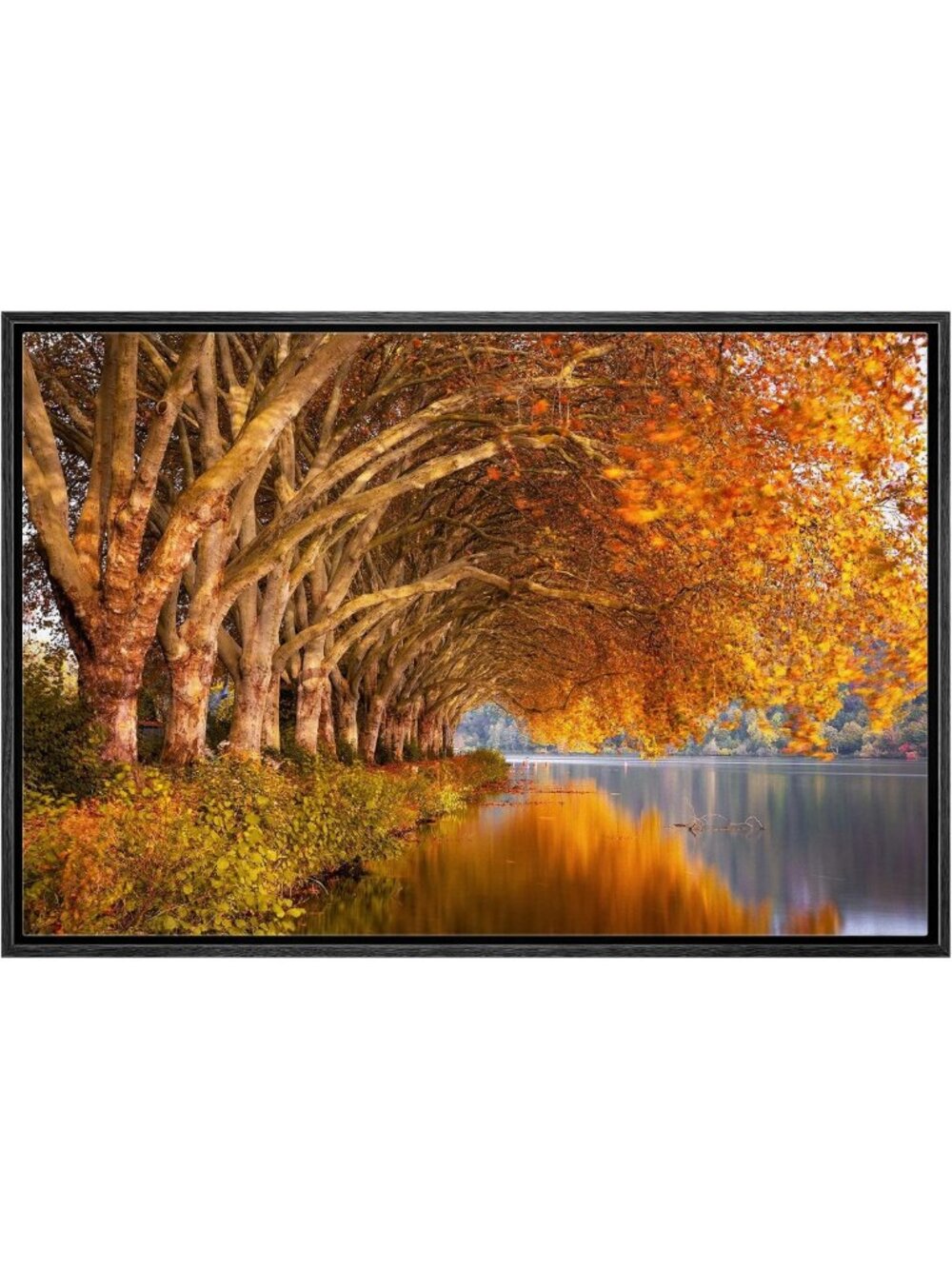 Framed Canvas Print Autumn Forest Lake Wall Art - Rustic Nature Photography